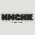 NmChk